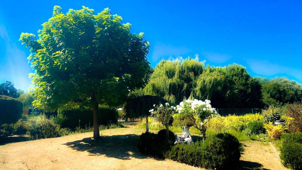 Villa Lucienne Comines-Warneton ภายนอก รูปภาพ